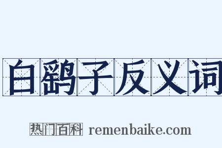 白鹞子反义词是什么意思的图片
